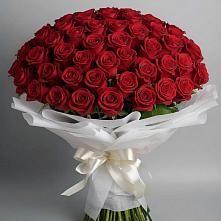 Букет 101 Красная роза Блэк Мэджик в Тенгинской