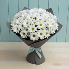 Букет цветов из:  Хризантемы в Тенгинской