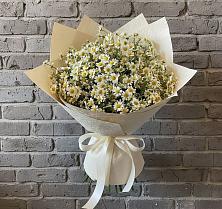 Букет цветов из:  Ромашки в Тенгинской