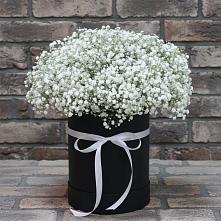 Цветочная композиция из Гипсофила в шляпной коробке в Тенгинской