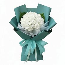 Букет цветов из:  Гортензия в Тенгинской